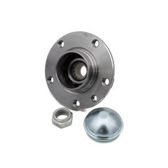 Rear Wheel Hub & Bearing - OEM (51832400)