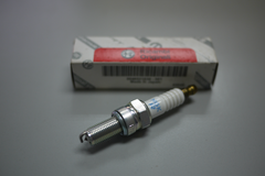 Spark Plug (46521530)